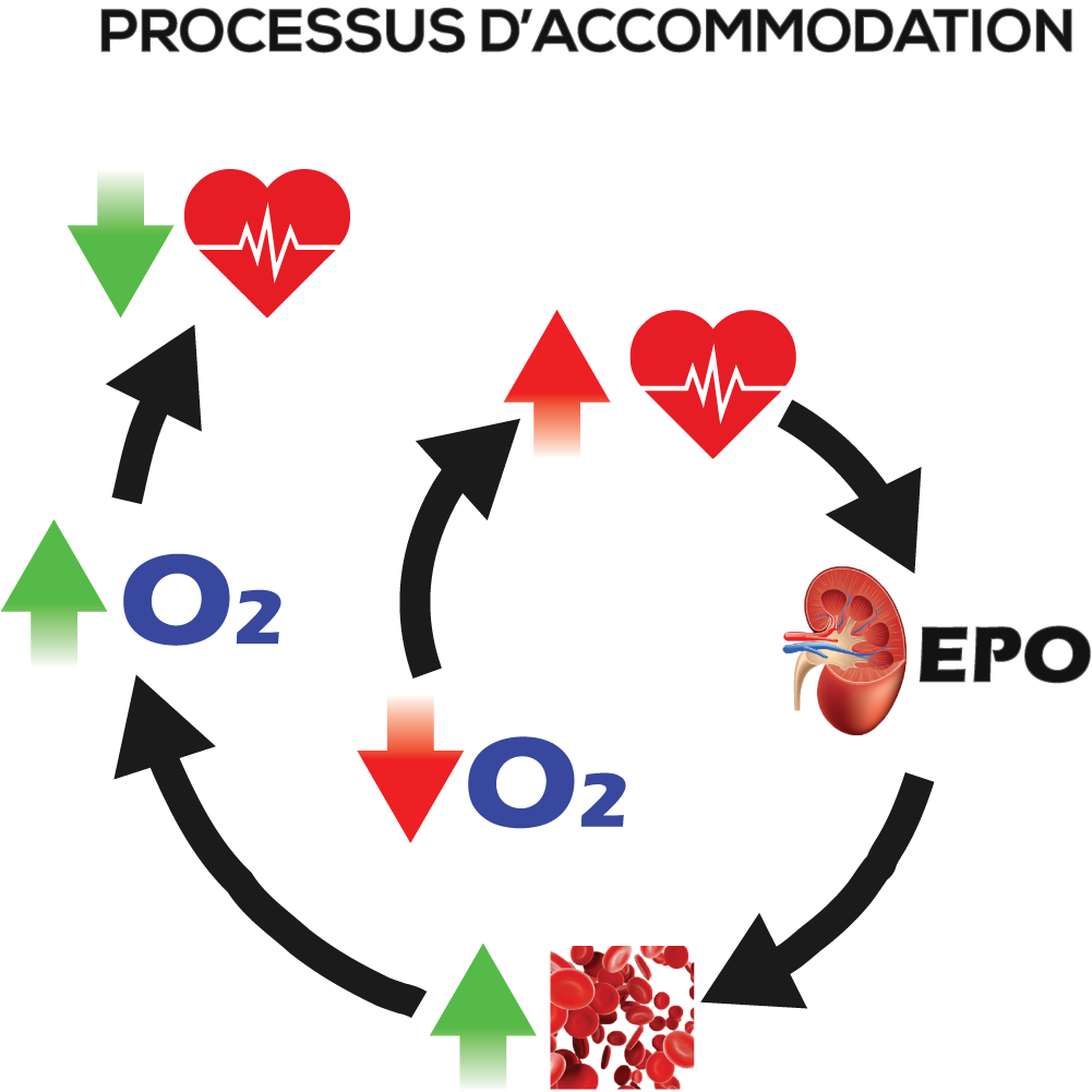 © 2019 PASSION TRAIL