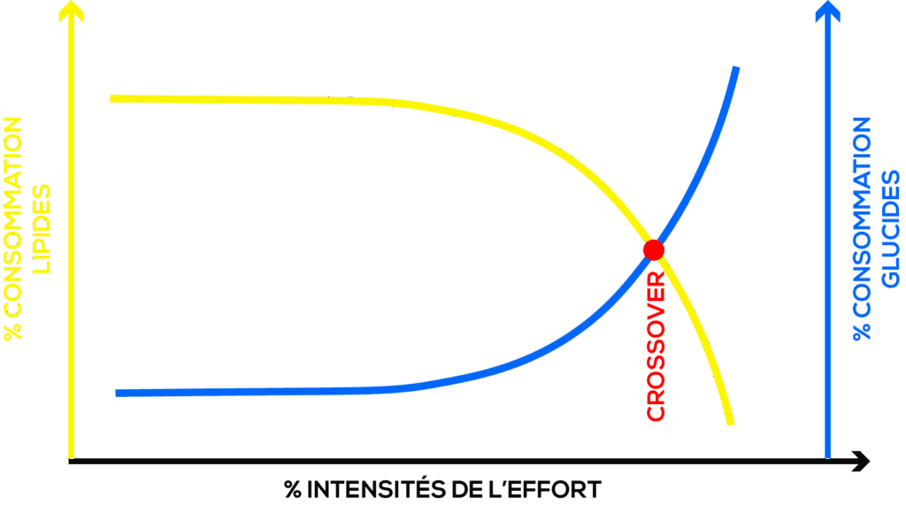 Représentation graphique du "Crossover"© 2019 PASSION TRAIL